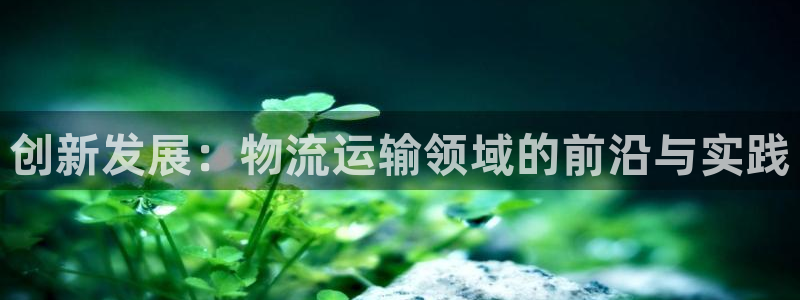 娱乐门徒好看么