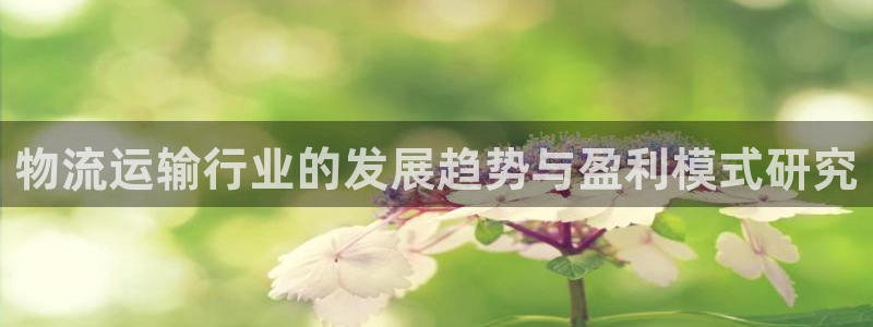 门徒娱乐是干啥的啊知乎