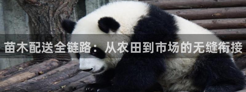 娱乐门徒电影截图